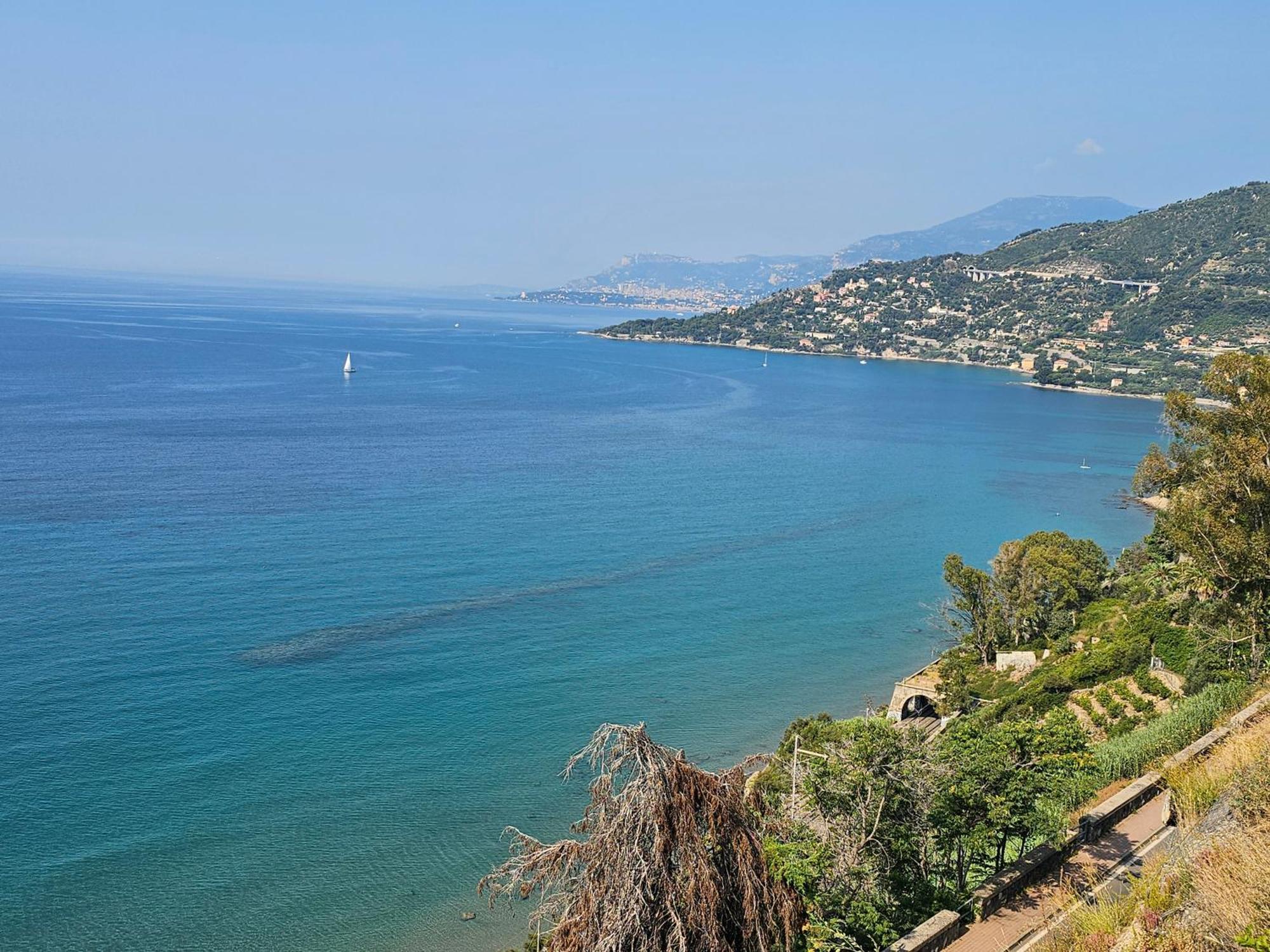 Avocado Villa Ventimiglia Dış mekan fotoğraf